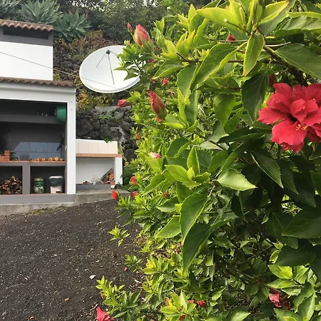 Prázdninový dům Casa Do Avo Faidoca # Pico