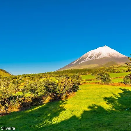 Casa Do Avo Faidoca # Pico Prázdninový dům Calheta de Nesquim