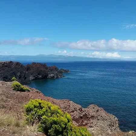 Prázdninový dům Casa Do Avo Faidoca # Pico *