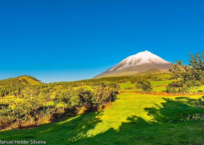 Casa Do Avo Faidoca # Pico Holiday Rentals Ferienhaus Calheta de Nesquim